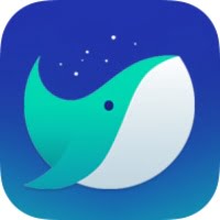 Whale Browser 3.21.192.18 instal